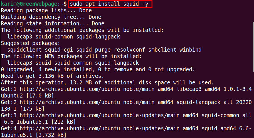 sudo apt install squid -y
