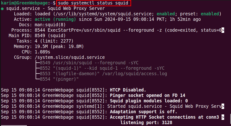   sudo systemctl status squid 
