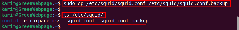   sudo cp /etc/squid/squid.conf /etc/squid/squid.conf.backup
