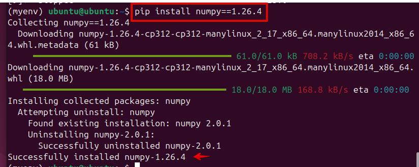 pip install numpy==version