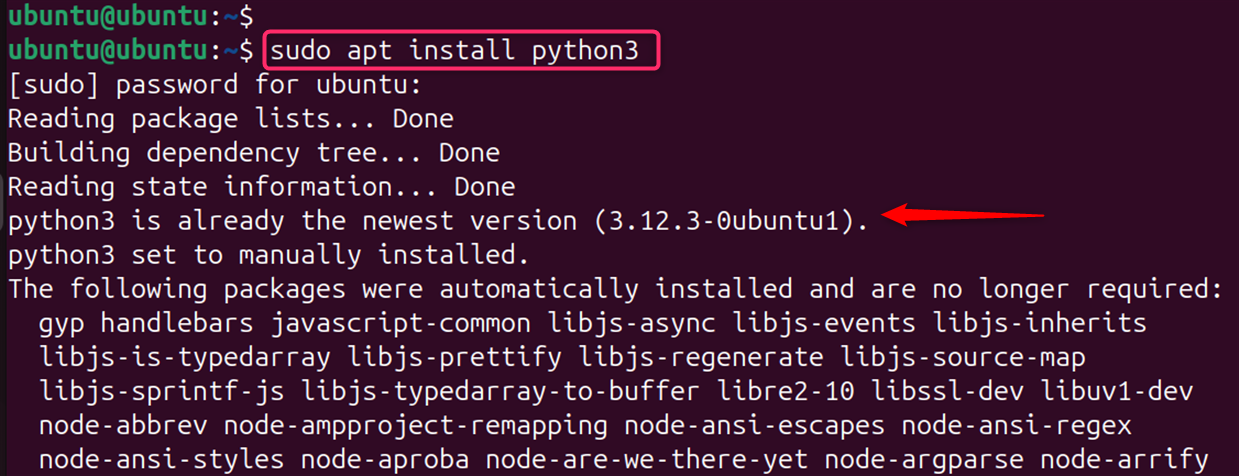 sudo apt install python3