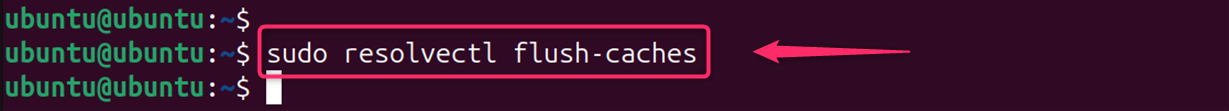 sudo resolvectl flush-caches