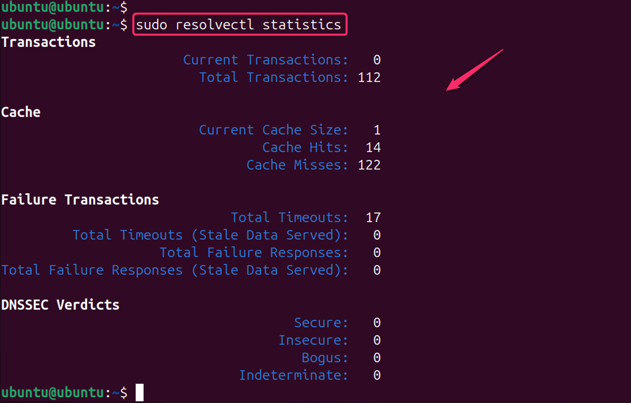 sudo resolvectl statistics