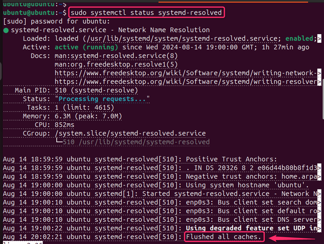 sudo systemctl status systemd-resolved