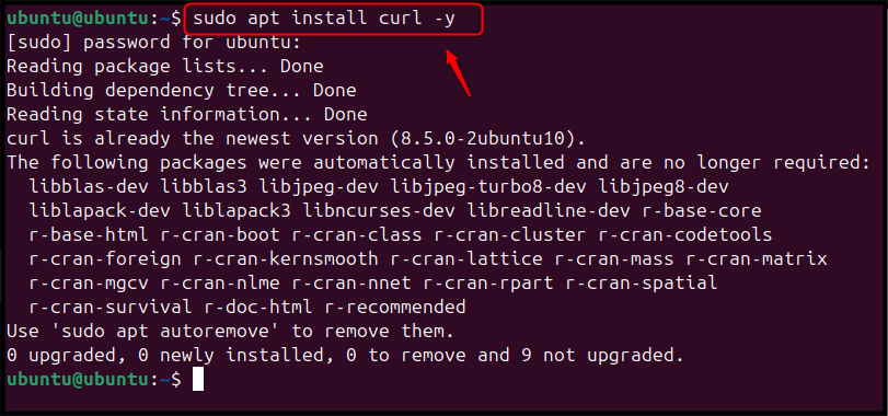 sudo apt install curl -y