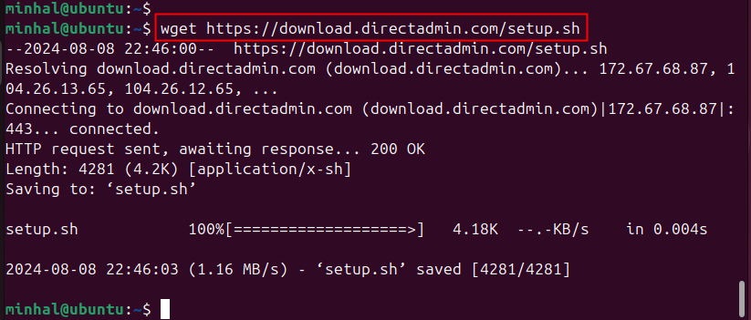 wget https://download.directadmin.com/setup.sh