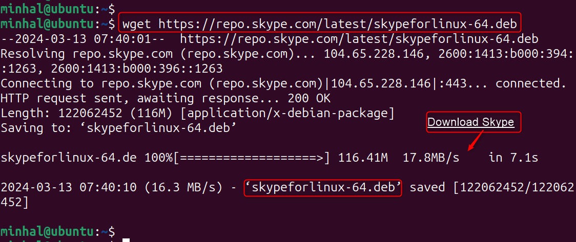 wget https://repo.skype.com/latest/skypeforlinux-64.deb