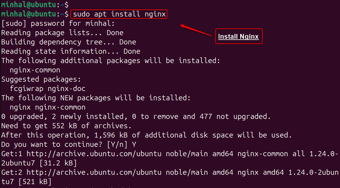 sudo apt install nginx