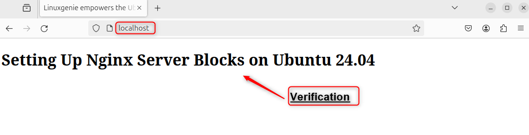 Verify Nginx setup