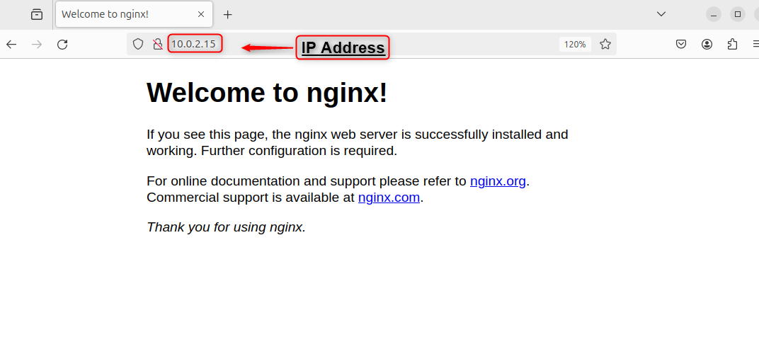 Access Nginx