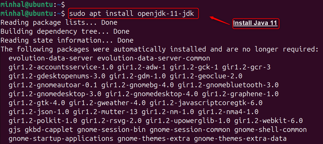 sudo apt install openjdk-11-jdk