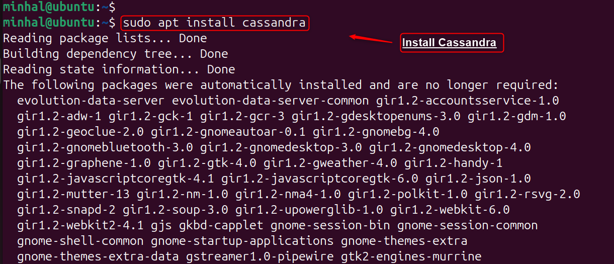 sudo apt install cassandra