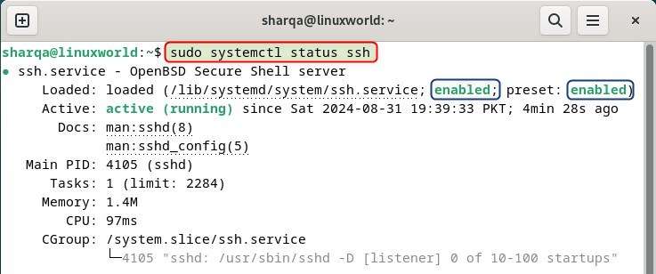 Checking SSH Service Status