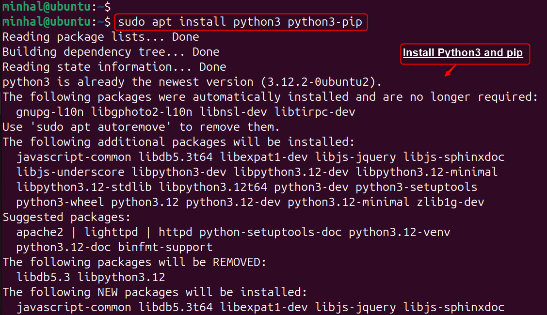 sudo apt install python3 python3-pip