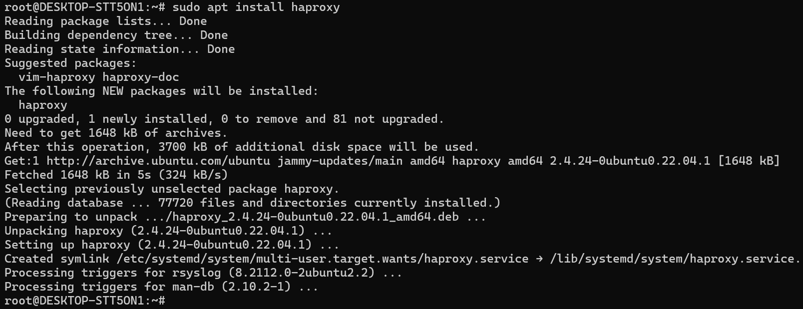 sudo apt install haproxy