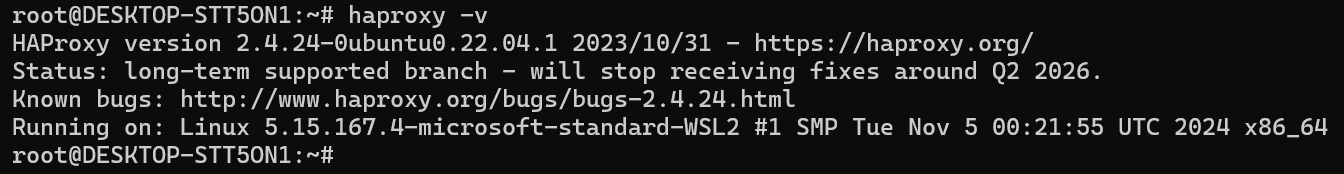sudo haproxy -v
