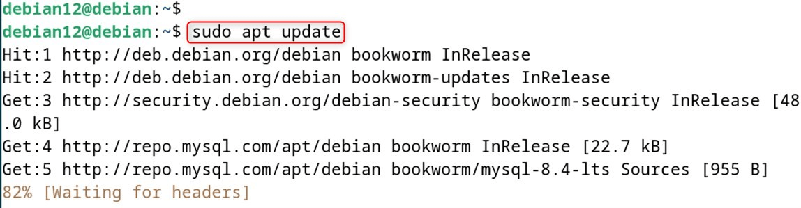 sudo apt update