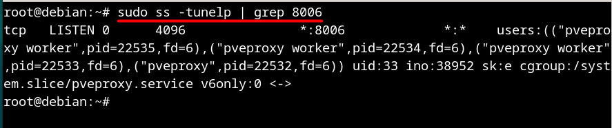 sudo ss -tunelp | grep 8006