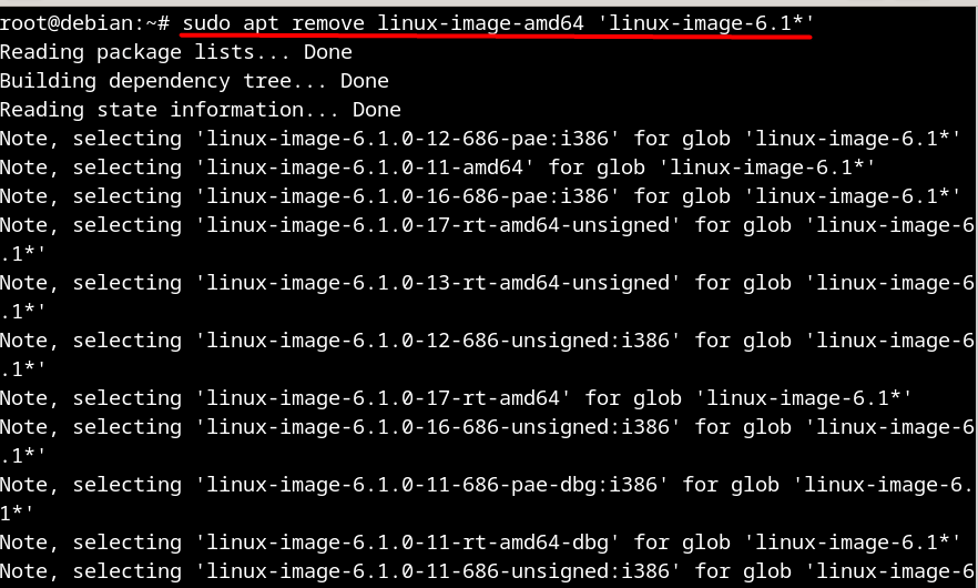 sudo apt remove linux-image-amd64 'linux-image-6.1*'
