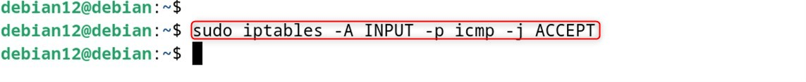 sudo iptables -A INPUT -p icmp -j ACCEPT