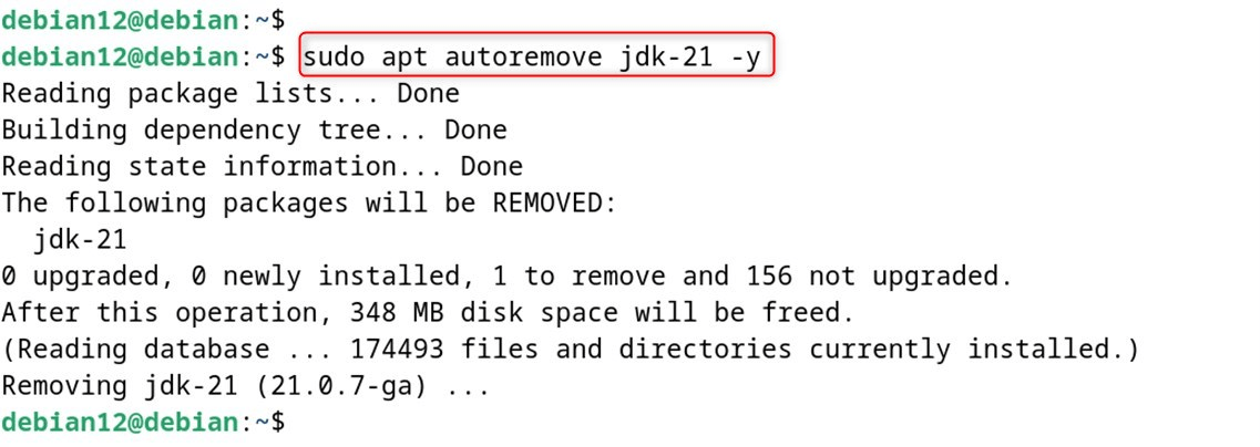sudo apt autoremove jdk-21 -y