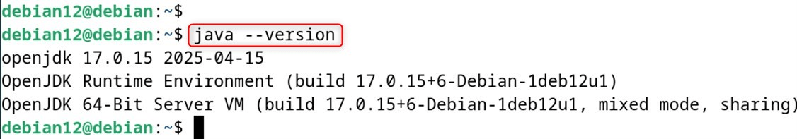 java --version