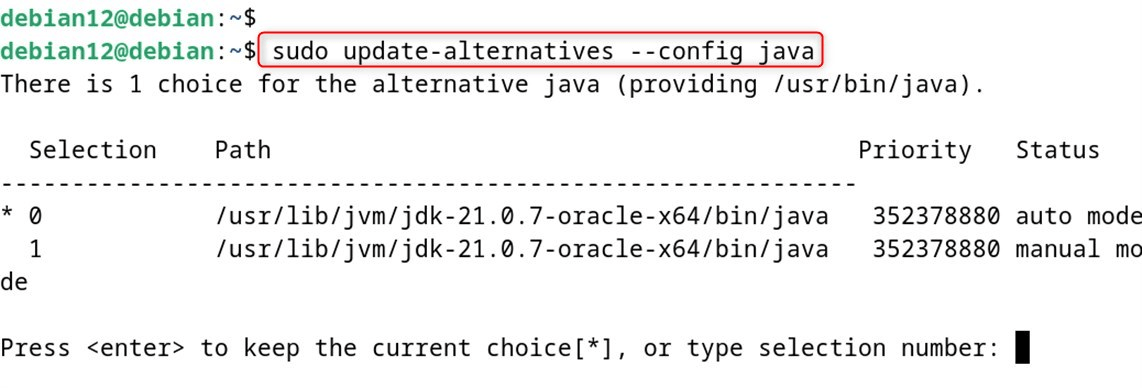 sudo update-alternatives --config java