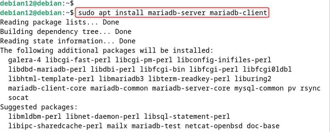 sudo apt install mariadb-server mariadb-client