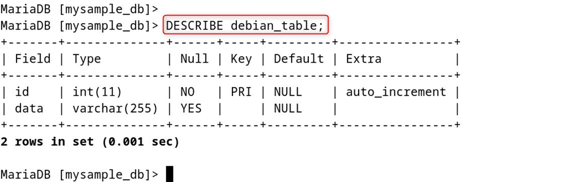 DESCRIBE debian_table;