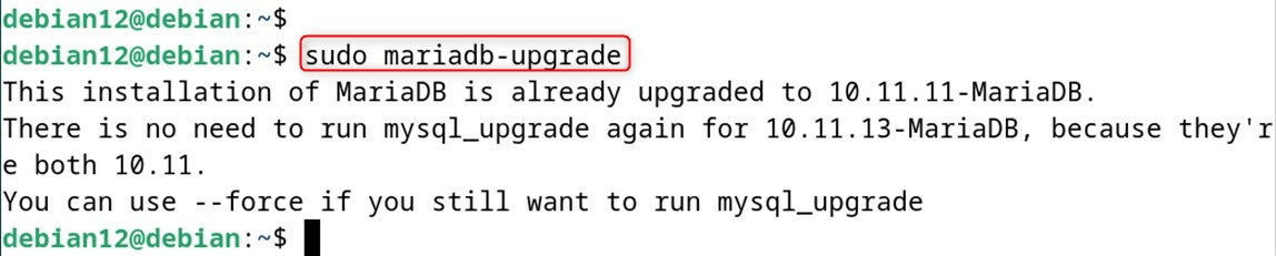 sudo mariadb-upgrade
