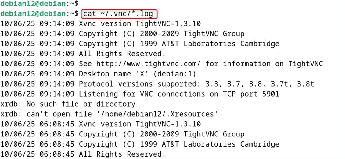 cat ~/.vnc/*.log