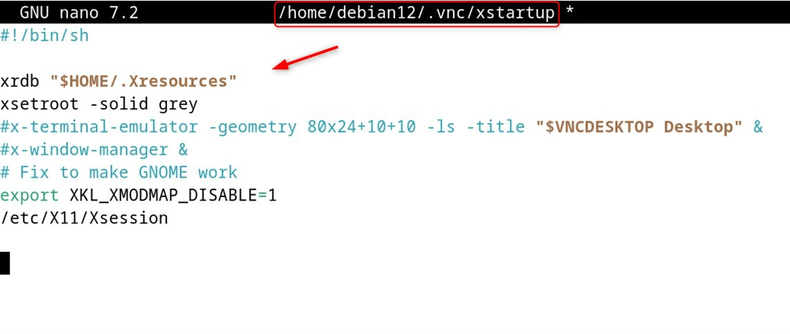 nano ~/.vnc/xstartup
