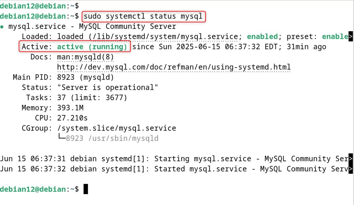 sudo systemctl status mysql