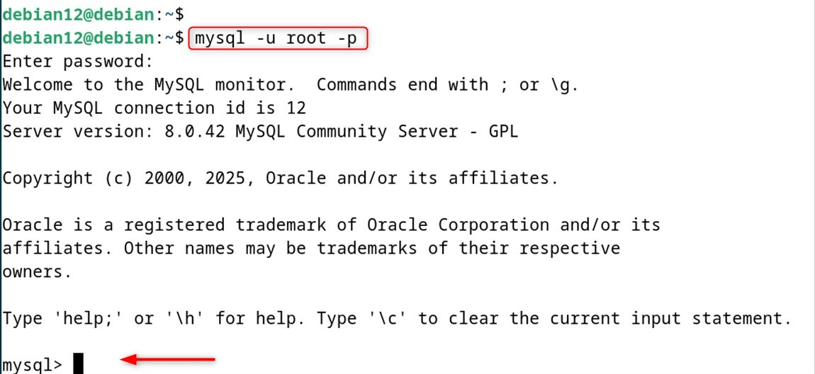 mysql -u root -p