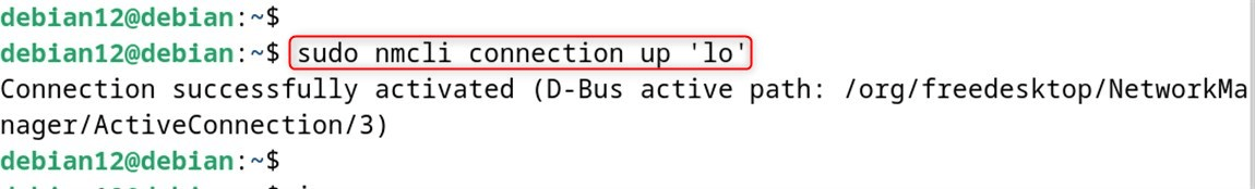 sudo nmcli connection up 'lo'