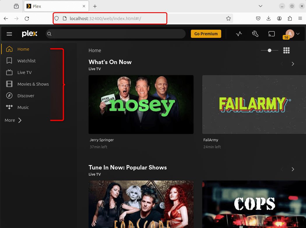 Plex media library