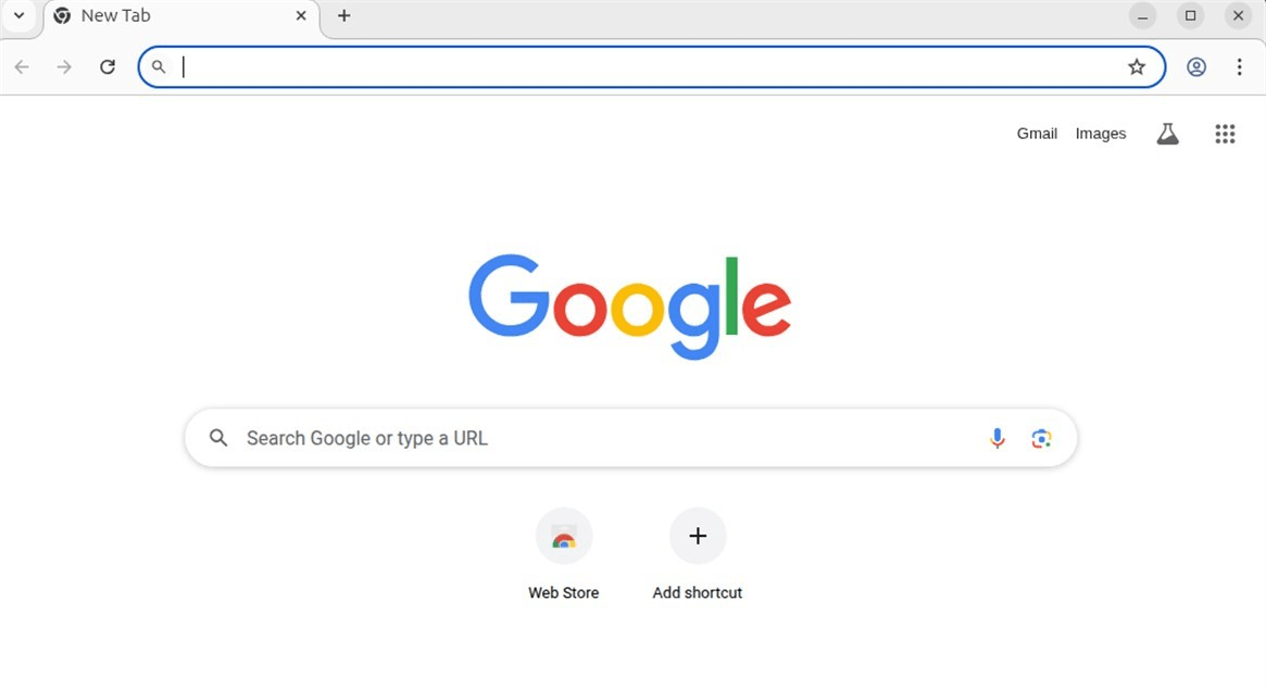 Google homepage