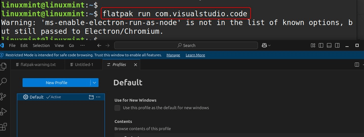 flatpak run com.visualstudio.code