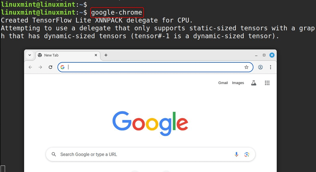 google-chrome
