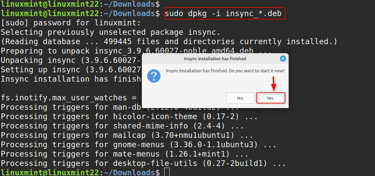 sudo dpkg -i insync_*.deb