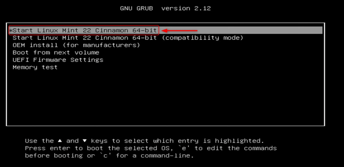 choose linux mint 22 cinnamon edition from grub menu