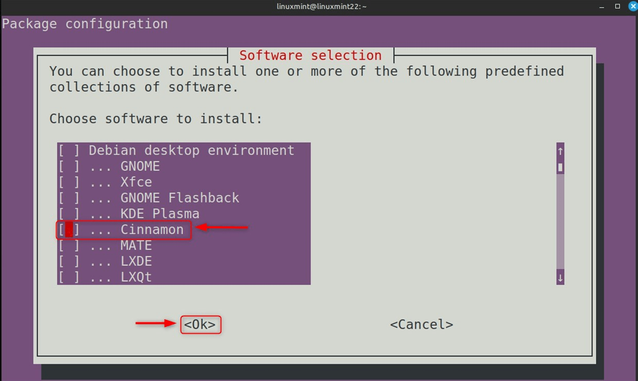 Choose Cinnamon from the list of softwares