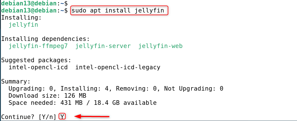 sudo apt install jellyfin