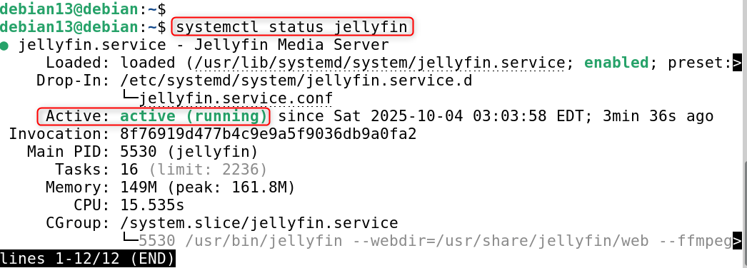 systemctl status jellyfin