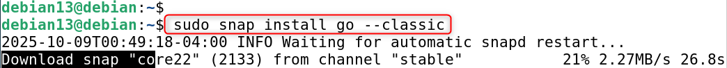 sudo snap install go --classic