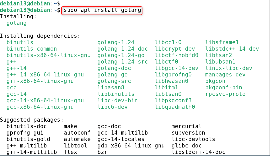 sudo apt install golang