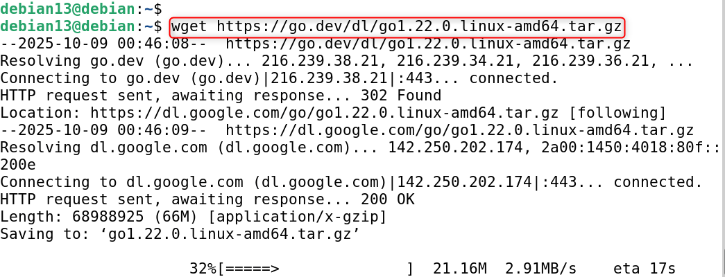 wget https://go.dev/dl/go1.22.0.linux-amd64.tar.gz