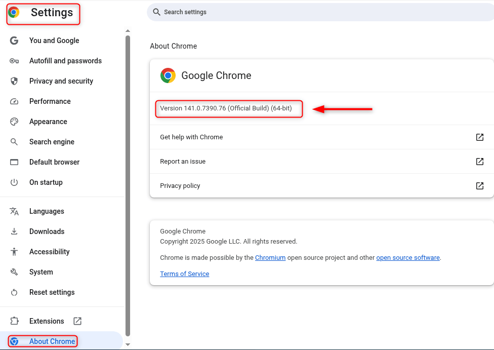 Update Google Chrome