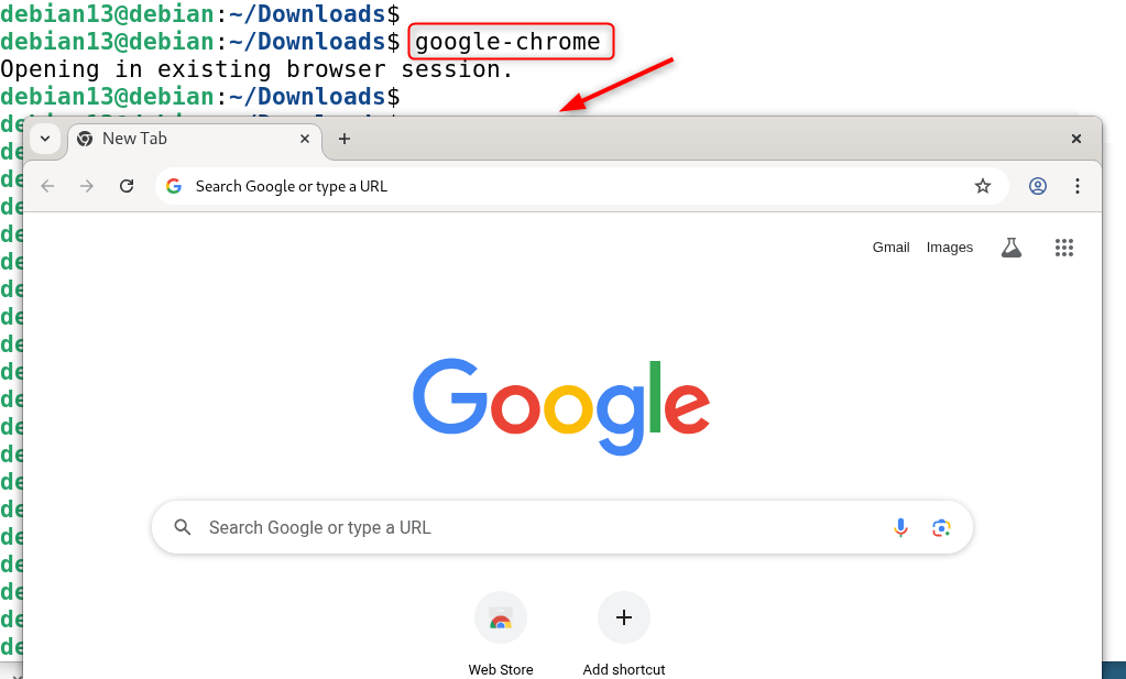 Launch Google Chrome