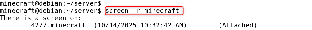   screen -r minecraft
